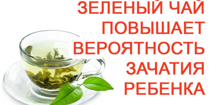 Зеленый чай повышает вероятность зачатия ребенка