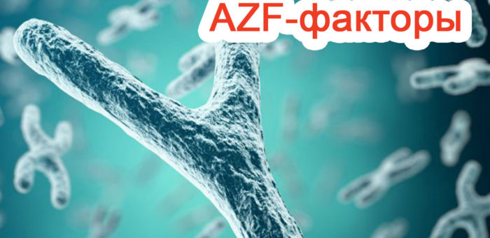 AZF-факторы