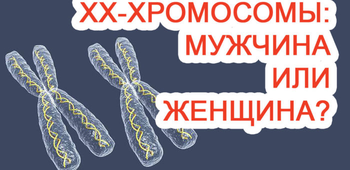 ХХ-хромосомы: мужчина или женщина?